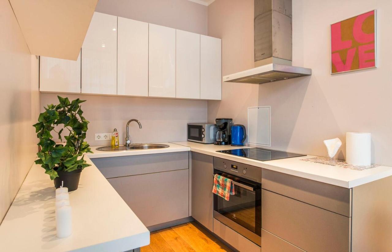 Central 2-Level Penthouse With Terrace And Free Parking Рига Экстерьер фото